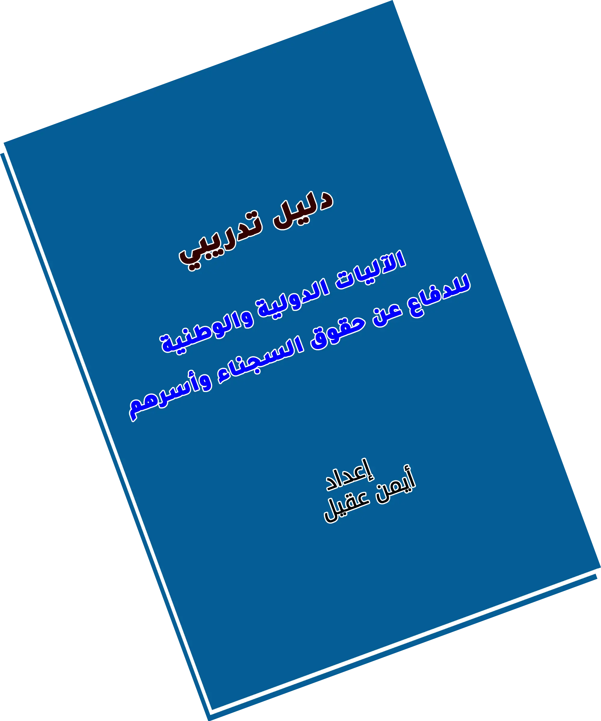 الآليات الدولية والوطنية